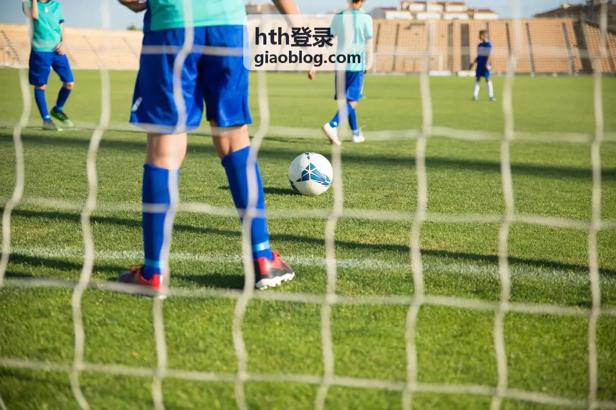hth登录安全验证流程配图