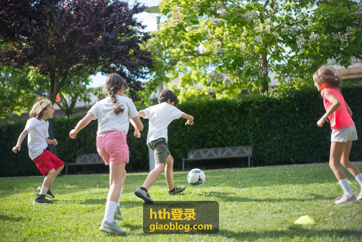 hth登录安全验证触发场景与核验提示