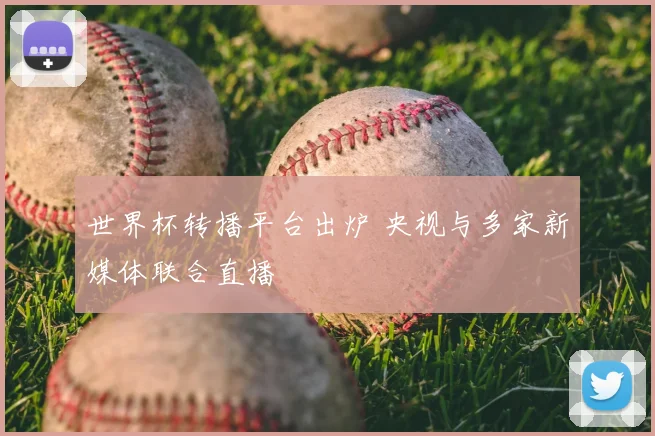 世界杯转播平台出炉 央视与多家新媒体联合直播