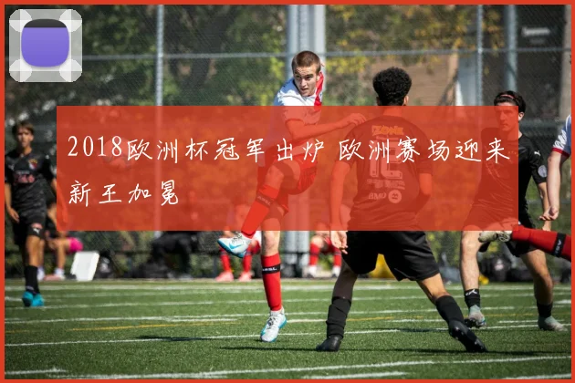 2018欧洲杯冠军出炉 欧洲赛场迎来新王加冕