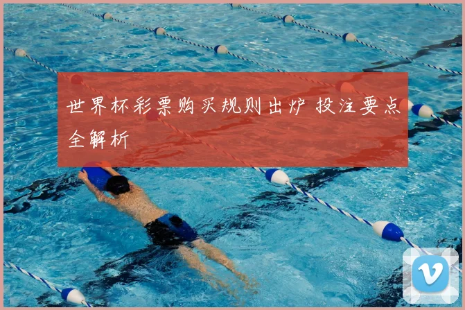 世界杯彩票购买规则出炉 投注要点全解析