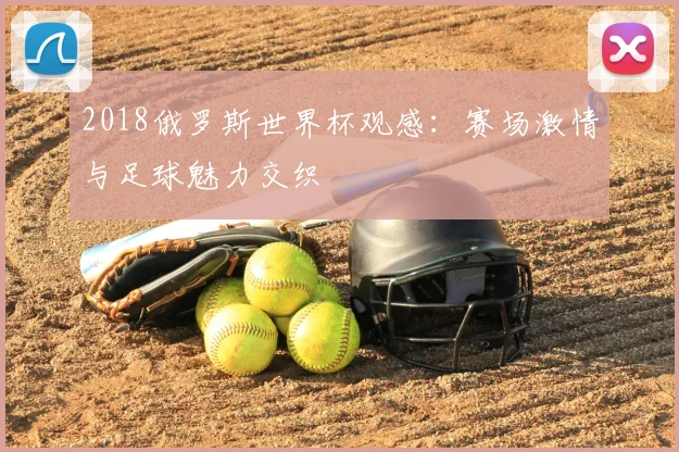 2018俄罗斯世界杯观感：赛场激情与足球魅力交织