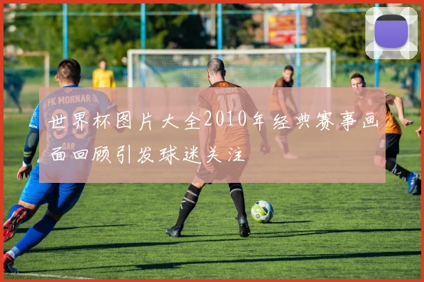 世界杯图片大全2010年经典赛事画面回顾引发球迷关注
