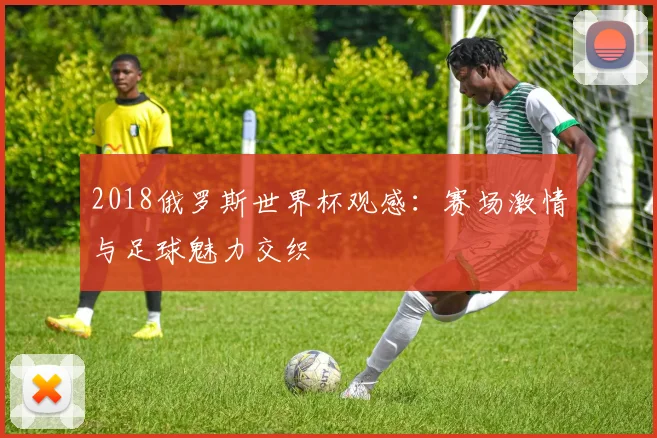 2018俄罗斯世界杯观感:赛场激情与足球魅力交织