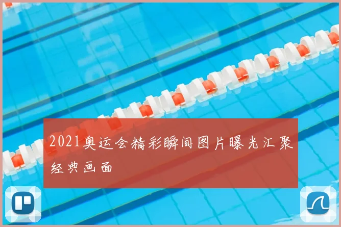 2021奥运会精彩瞬间图片曝光汇聚经典画面