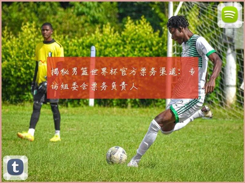揭秘男篮世界杯官方票务渠道：专访组委会票务负责人