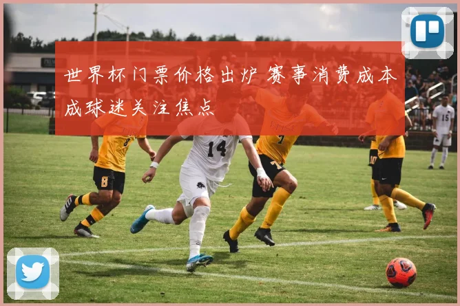 世界杯门票价格出炉 赛事消费成本成球迷关注焦点