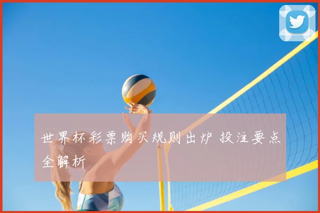 世界杯彩票购买规则出炉 投注要点全解析