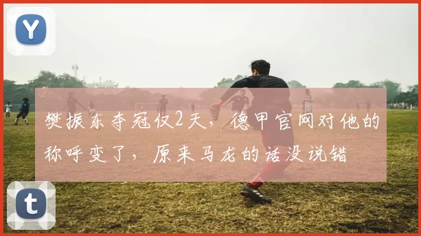 樊振东夺冠仅2天，德甲官网对他的称呼变了，原来马龙的话没说错