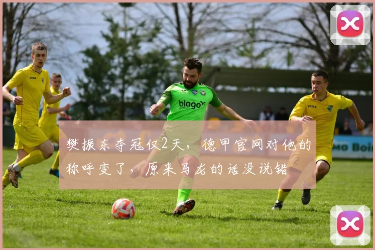 樊振东夺冠仅2天，德甲官网对他的称呼变了，原来马龙的话没说错
